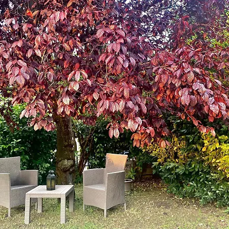 Soul House * تْشيفيتانوفا ماركي